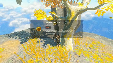 golden apple totk|Zelda: Tears of the Kingdom – How To Get Golden Apples